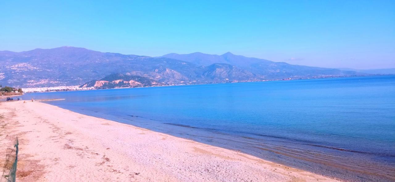 Artemis Apartment Volos